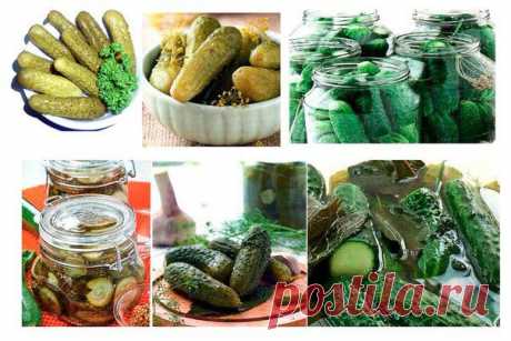 15 лучших рецептов огурцов на зиму. | Just cook!