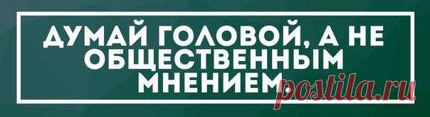 Все было бы по-другому, если бы в школах на уроках музыки учили музыке. на уроках рисования действительно учили рисовать. на уроках физкультуры осваивали полезные навыки, а не кидание мячей в стену. На английском разговаривать, а не зубрить правила. На русском ставили грамотную речь, а не списывание текстов. На математике давали то ,что действительно нужно, а не то, что завтра забудешь. Тогда из школ выходили бы другие люди...разносторонние, с целями и планами , а не овощи...
