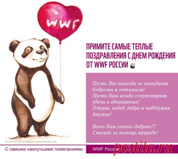 proxy.imgsmail.ru (600×537)
