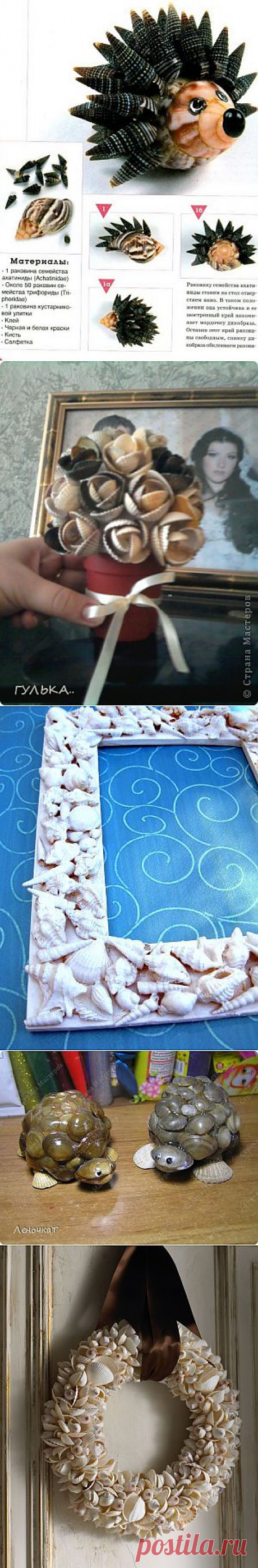 РАКУШКИ | Записи в рубрике РАКУШКИ | Дневник Evany