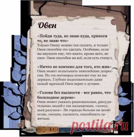 Поговорки Знаков Зодиака