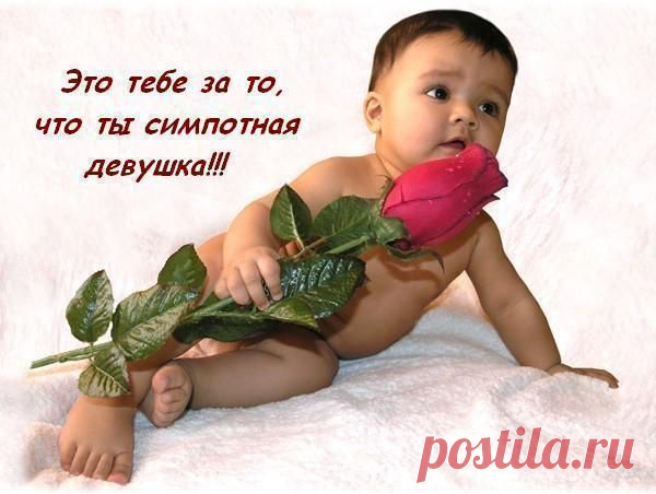 Фото СПАСИБО!. Альбом БЛАГОДАРНОСТИ - 50 фото. Фотографии zoja simonova.