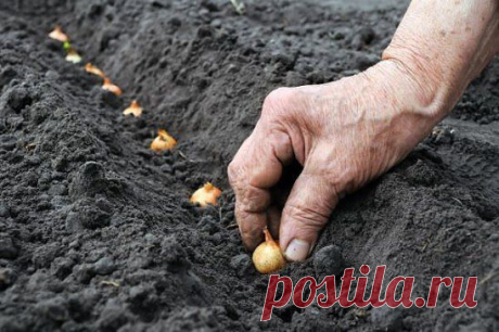 (67) Одноклассники