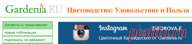 СУБСТРАТЫ