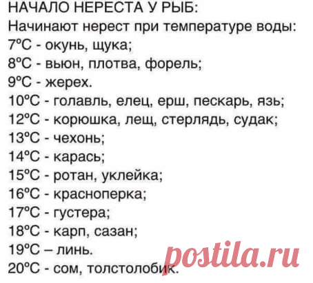 Друзья, читайте, запоминайте