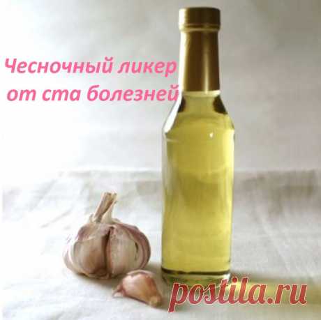 Чесночный ликер – эликсир от множества болезней! Как приготовить и принимать