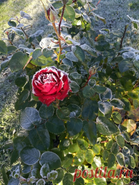 Fotokonkurss Sügise Värvid - uudised.ee