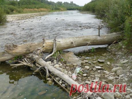 р. Пистынька с. Нижний - Вербиж .Речка детства моего.