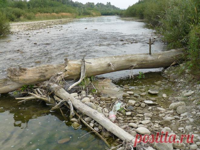 р. Пистынька с. Нижний - Вербиж .Речка детства моего.