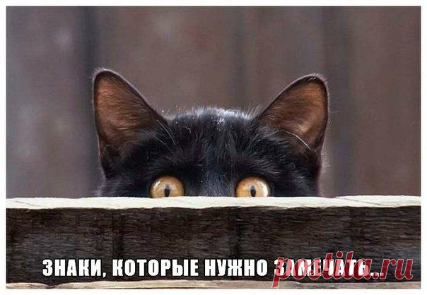 Без заголовка