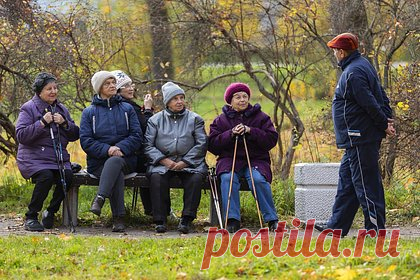 Некоторых россиян предупредили о снижении пенсионных баллов. На фоне резкого увеличения базы исчисления страховых взносов с 2023 года у некоторых россиян произойдет сокращение пенсионных прав. Об этом предупредил аудитор Счетной палаты Сергей Штогрин. У граждан со средней зарплатой по стране они снизятся на 11,3 процента, оценили аудиторы.