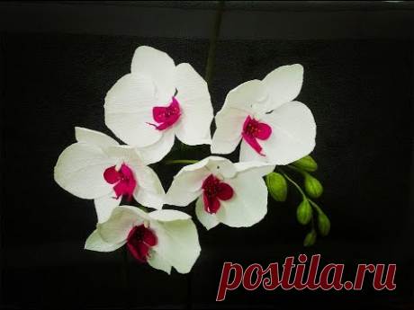 How To Make Phalaenopsis Orchid From Crepe Paper - Craft Tutorial