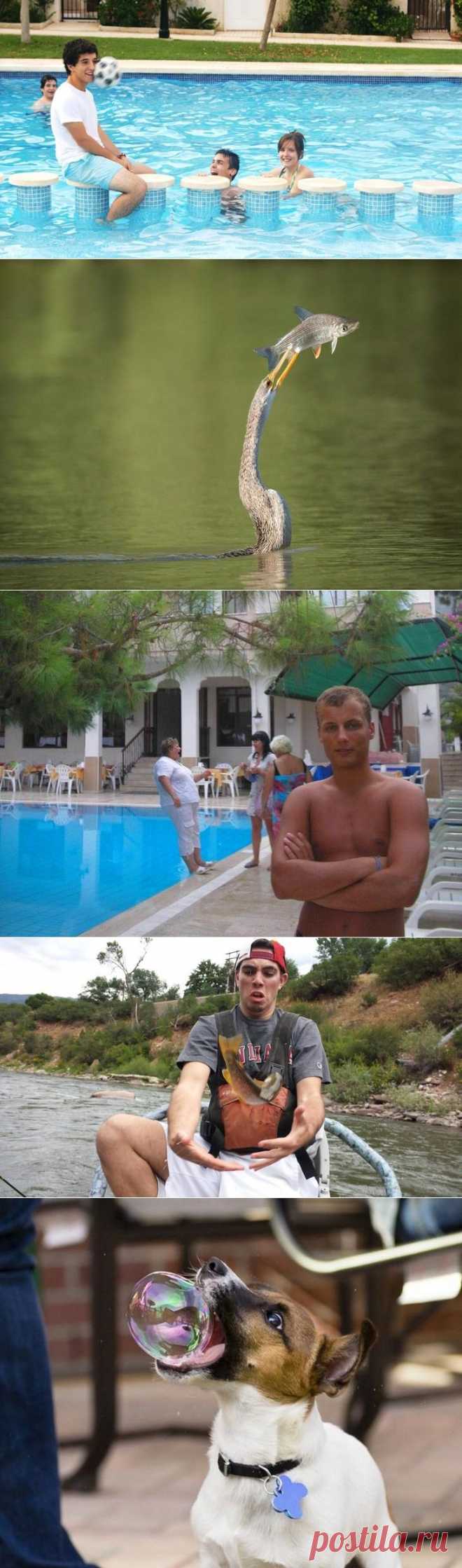 20 фотографий, сделанных за секунду до неизбежного