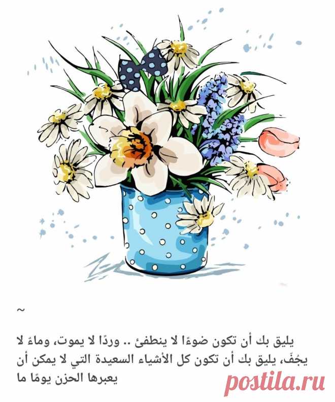 Images By Haidy🎀 ' On لطفً بك .. A57