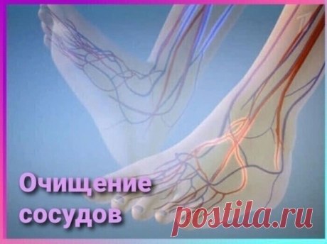 Отличное средство! Уходят проблемы с кишечником и сильной усталости по вечерам!

Затвердевание артерий, также известное как атеросклероз, является распространенным заболеванием, которое возникает, когда холестерин, жир и другие вещества накапливаются в стенках артерий и образуют жесткие отложения, называемые бляшками.
Показать полностью...
