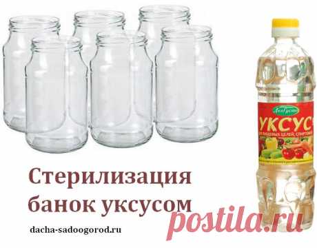 Способы стерилизации банок для заготовок на зиму