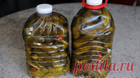 Рецепт соленых огурчиков в пятилитровых бутылках. Получаются как бочковые! Очень вкусно, как из бочки!