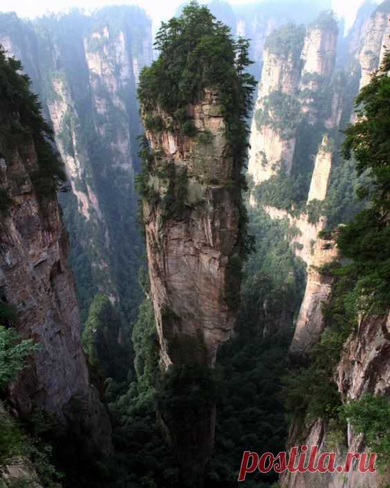 (885) Pinterest