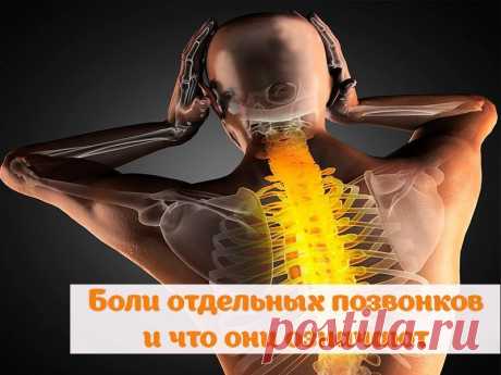 Без заголовка