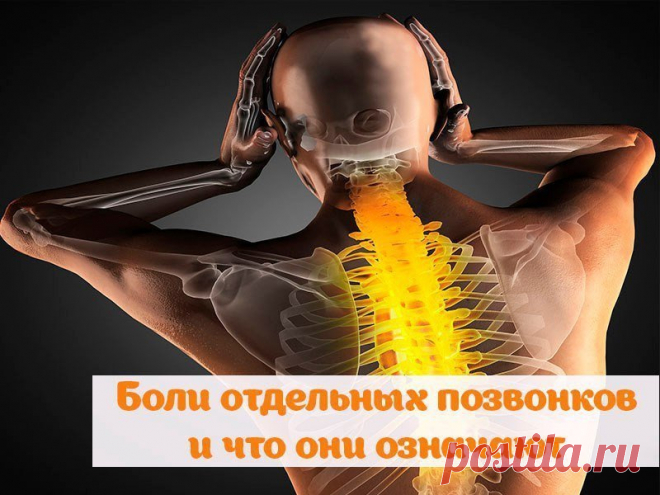 Без заголовка