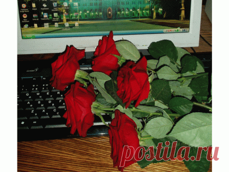 4184204.gif (1024×768)