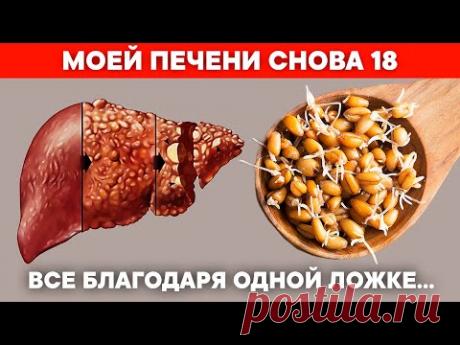 Съешь 1 ложку утром и к вечеру ПЕЧЕНЬ выплюнет все ТОКСИНЫ и ЖИР. Быстрая чистка печени