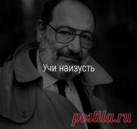 Учи наизусть 
Письмо внуку от Умберто Эко. 

«Учи наизусть». 
Так назвал свое новогоднее обращение к внуку итальянский писатель и философ Умберто Эко. 
И назвал неслучайно, потому что посвятил его самому важному, что было и есть у человека, — памяти. 

— Мой дорогой внук, я не хотел бы, чтобы это рождественское письмо звучало слишком назидательно, в духе Де Амичиса, и проповедовало бы любовь к нашим ближним, родине, человечеству и тому подобным вещам. Ты не стал бы к этому...