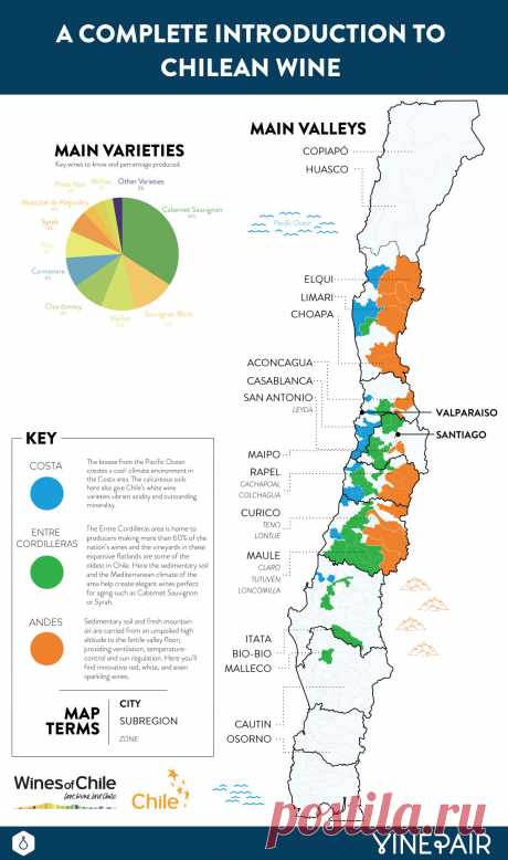 A Complete Introduction to the Wines of Chile: MAP | VinePair