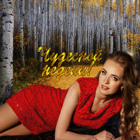 ЧУДЕСНОЙ НЕДЕЛИ! | ЭКСКЛЮЗИВ МАСТЕРОВ АНИМАЦИИ | Группы Мой Мир