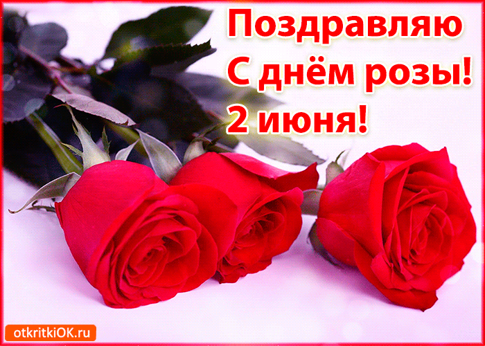 Поздравление с днём розы 2 июня