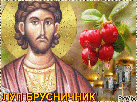 Святой Лупп был верным слугой великомученика Дмитрия Солунского и принял мученическую смерть за веру во Христа.