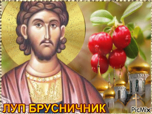 Святой Лупп был верным слугой великомученика Дмитрия Солунского и принял мученическую смерть за веру во Христа.