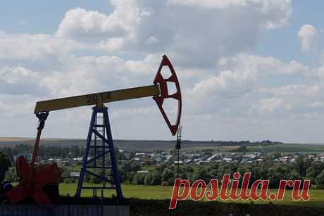 Индию заподозрили в перепродаже российской нефти Европе. Еврокомиссии (ЕК) необходимо изучить возможность того, что Индия реэкспортирует в Евросоюз купленную у России нефть, заявил член Европарламента от Бельгии Марк Ботенга со ссылкой на данные о торговых показателях Нью-Дели в сфере энергетики. «Лента.ру» ознакомилась с соответствующим обращением депутата к ЕК.