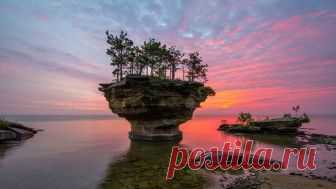 (4) Живая Земля - Фото