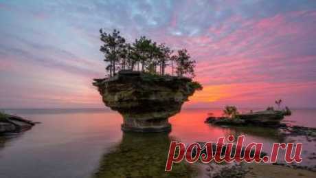 (4) Живая Земля - Фото