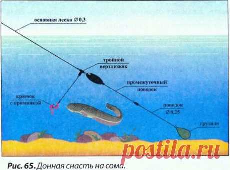 (48) Одноклассники