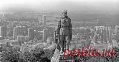 Живой...