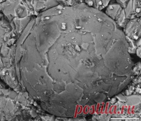 Фотографии на стене сообщества | 32 819 фотографий