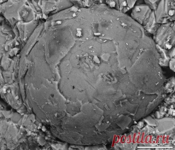 Фотографии на стене сообщества | 32 819 фотографий