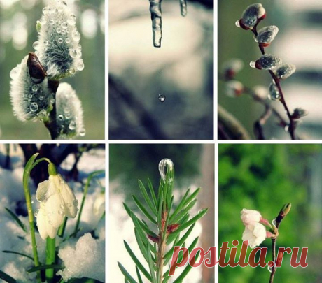 За рекой луга зазеленели,
Веет легкой свежестью воды;
Веселей по рощам зазвенели
Песни птиц на разные лады.