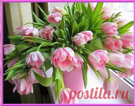 УДАЧНОГО ДНЯ!!
СОЛНЕЧНОГО НАСТРОЕНИЯ!
Заглянуло солнце мне в окошко:
- Не грусти, родная, улыбнись!
Я посыплю радостью дорожки,
Чтобы веселей казалась жизнь!
Посмотри, как мир вокруг прекрасен!
Всё звенит, стрекочет и поёт.
Воздух, словно мёд – прозрачен, ясен.
Птицы начинают свой полёт.
Сердце распахни навстречу счастью,
Пусть душа стремится в высоту.
Вся природа в сильной моей власти,
Расцветает, дарит красоту.
Ты стряхни усталость, как соринки.
Прогони тоску, себя любя.