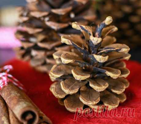 6 ароматов для создания новогодней атмосферы Для большинства людей Новый год ассоциируется с запахом мандаринов и свежей хвои, праздничной выпечки с корицей и морозной свежестью воздуха. Давайте попробуем сами создать ароматы праздника в доме!