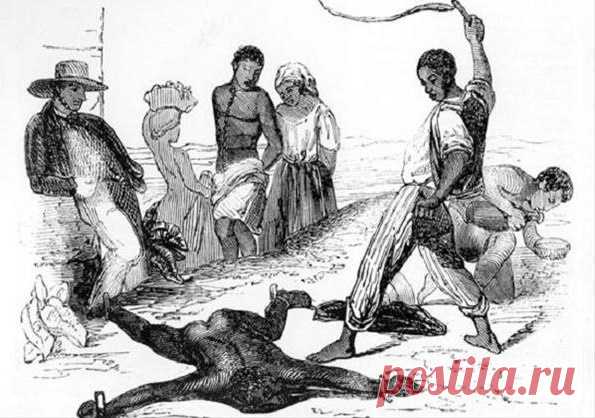 Имя помещицы Дарьи Салтыковой (Салтычихи), известной своими издевательствами над крепостными, в России давно стало нарицательным. Но своя «Салтычиха», оказывается, была и в Америке. Жители Нового Орлеана до сих пор не могут забыть о Дельфине Лалори.