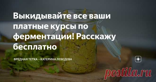 Выкидывайте все ваши платные курсы по ферментации! Расскажу бесплатно Статья автора «Вредная тётка – Катерина Лебедева» в Дзене ✍: Собралась и написала подробный гайд по технической стороне ферментации. Я молодец.