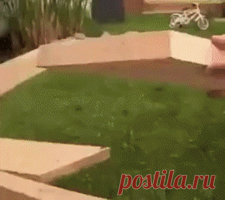 Одноклассники