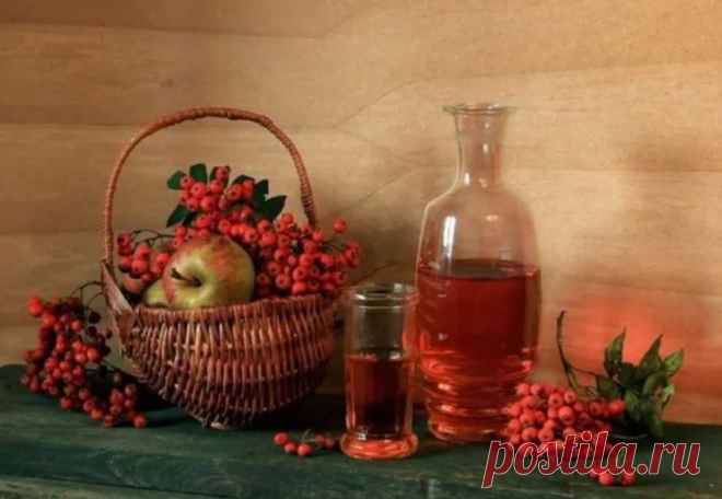 Вкусная панацея из красной рябины на всю зиму. | DiDinfo | Яндекс Дзен