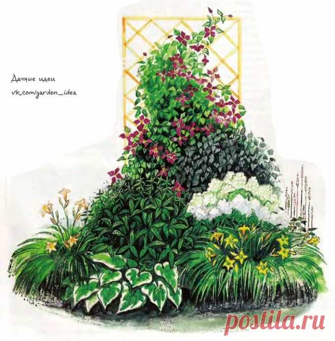 ЦВЕТНИКИ С КЛЕМАТИСОМ