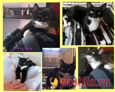 Татьяна Кузнецова