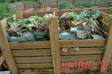 Способы применения ботвы после уборки урожая для повышения плодородия

Ботве, оставшейся после сбора урожая, можно найти подходящее применение на огороде. Из нее получится отличное удобрение и мульча. Главное вовремя убрать все больные и пораженные паразитами части.

Сжечь или высушить
Показать полностью...