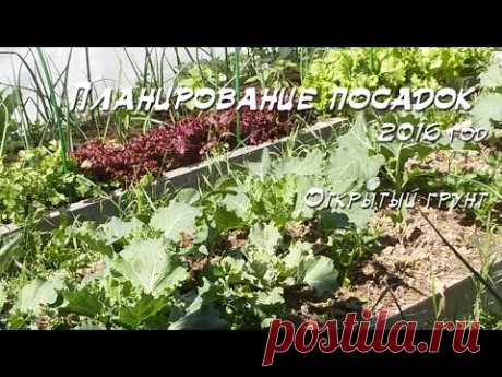 Смешанные посадки. Планирование грядок ОГ, 2016 год - YouTube